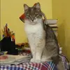 Отзыв от Ольга Высоцкая